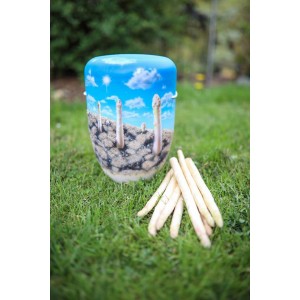 Hand Painted Biodegradable Cremation Ashes Funeral Urn / Casket – Organic Asparagus